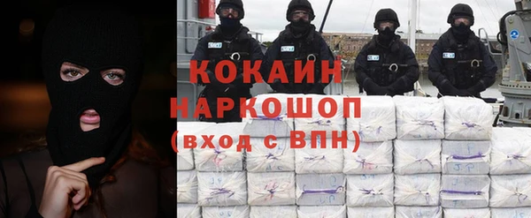 гашик Алексин