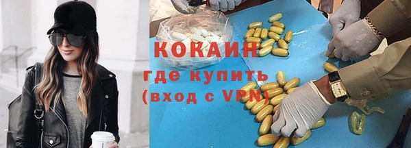 гашик Алексин