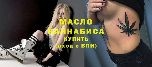 гашик Алексин