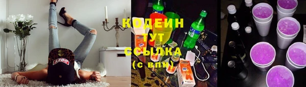 шишки Горно-Алтайск