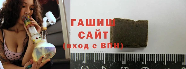 гашик Алексин