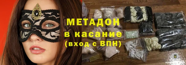гашик Алексин